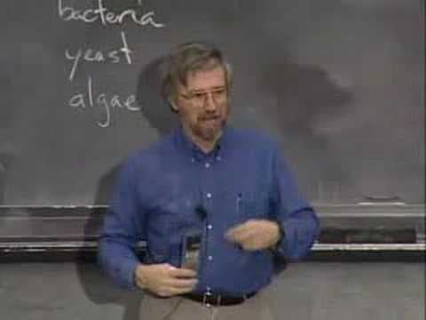 MIT 7.014 Introductory Biology, Spring 2005